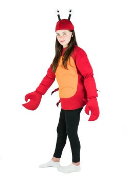 Bodysocks Boys Halloween Costumes Kids Crab Costume