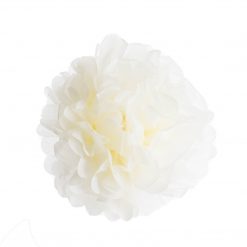 Bodysocks Tropical Party Pack