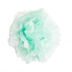 Bodysocks Tropical Party Pack