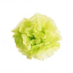 Bodysocks Tropical Party Pack